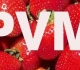 Smulkiajam ir vidutiniam verslui – palankesnė PVM sumokėjimo tvarka 