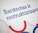 Seimas laimina Fizinių asmenų bankroto įstatymo pataisas