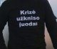 5 krizės įveikimo etapai: ko būtina imtis jau šiandien?