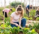 Nepilnamečių darbas vasarą: ką reikia žinoti darbdaviams?