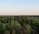 Privačių miškų savininkams - išsamios specialistų konsultacijos