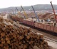 Pramonės produkcija per mėnesį sumažėjo 4,8 proc.
