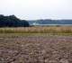 NT rinką žemyn timptelėjo prekyba žemės sklypais