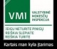  Įmonės nuostoliai išnyko po VMI patikrinimo