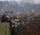 Kodėl ūkininkai turi saugotis neužauginto derliaus apmokestinimo?